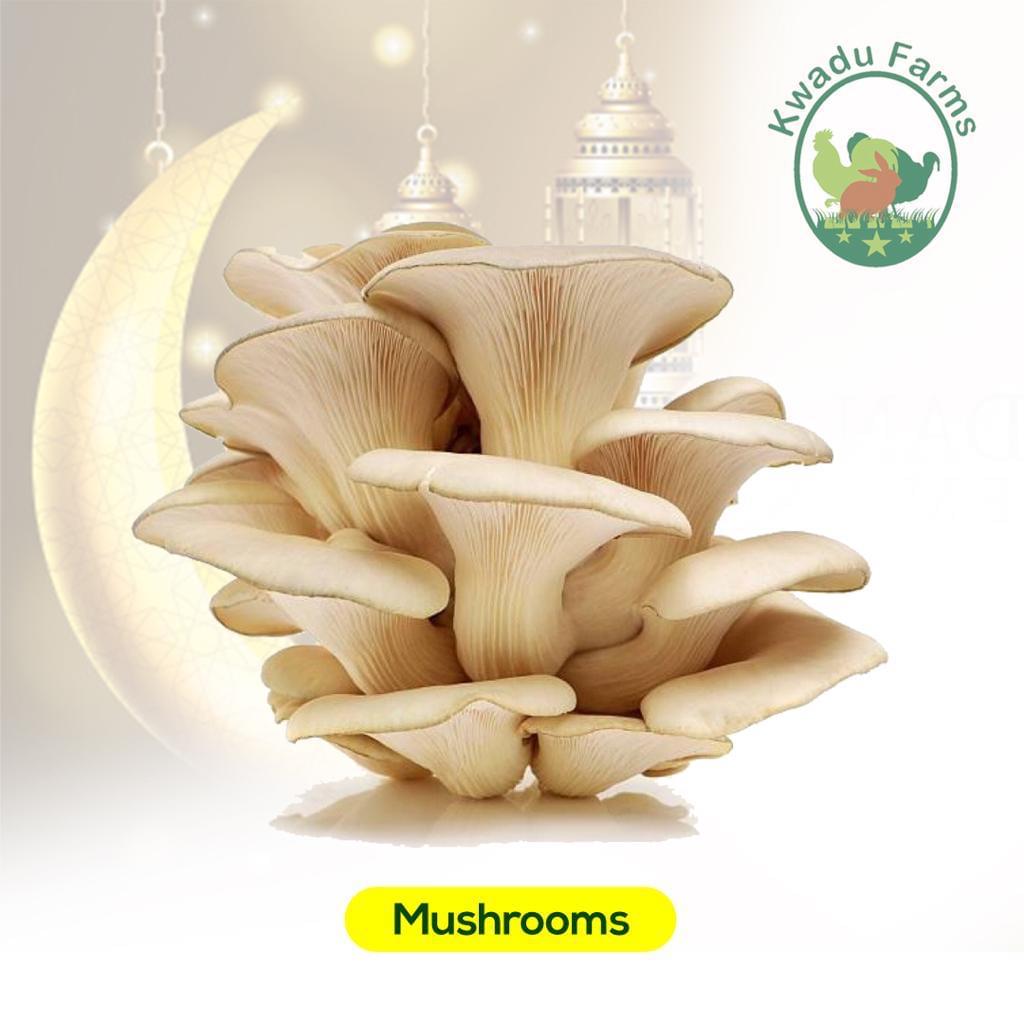 Mushrooms (300kg)