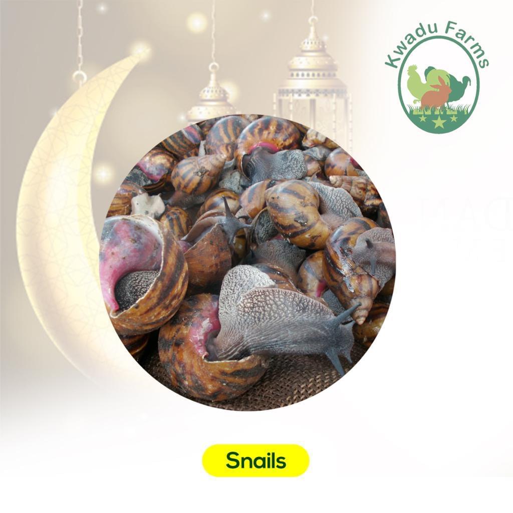 Snails(1kg)